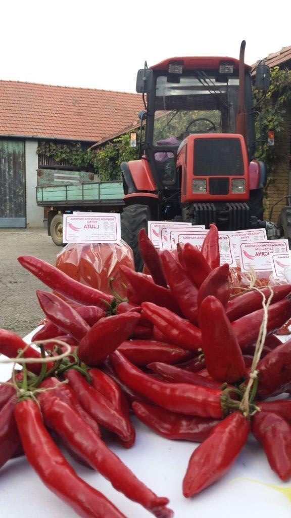 Ilustracija: začinska paprika