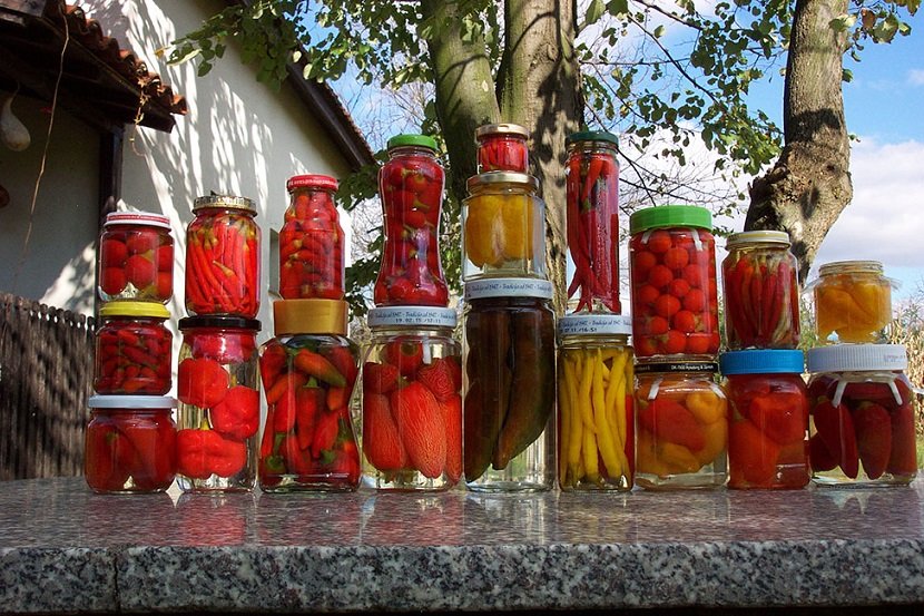 Ilustracija: egzotična turšija, foto: fatalnizacini.com