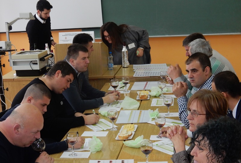 Čačak jedna od radionica_u_okviru projekta, foto: I.Glisic