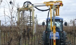 Ilustracija: Mašinska rezidba vinove loze, foto: orizzonti-machina