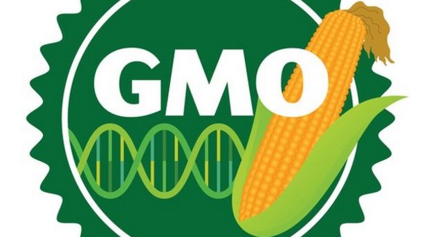 Ilustracija: GMO, foto: https://cdn-a.william-reed.com