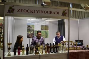 Ilustracija: zeočki vinogradi, foto: Svetlana Kovačević