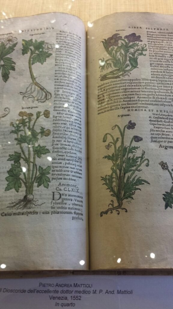 Ilustracija: Knjige i herbarijumu iz XV XVI i XVII veka