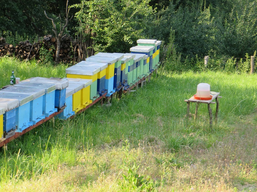 Ilstracija: pčelinjak i voda za pojilo, foto: S.K.