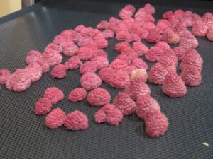 Ilustracija: sušeno voće iz Španije, foto: Agropress