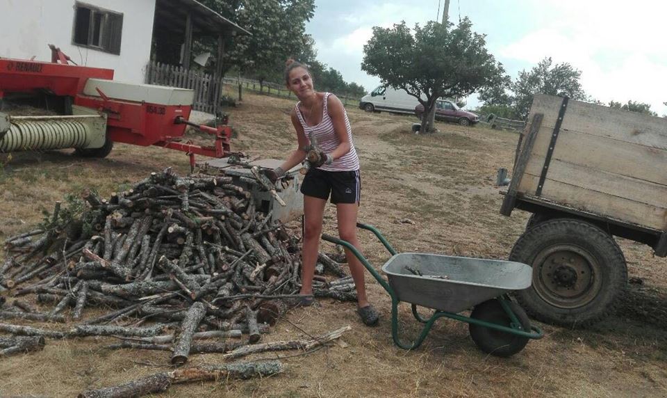 Ilustracija: Milica sprema drva za pečenje rakije, foto: Domaćinska kuća