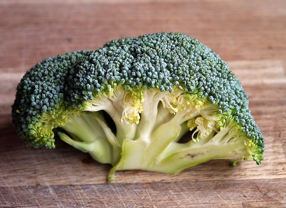 Ilustracija: brokoli, foto: pixabay