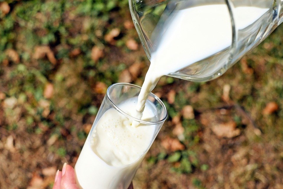 Ilustracija; mleko, foto: pixabay