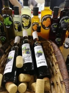 Ilustracija; vino, foto: Svetlana Kovačević