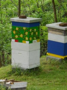 Ilustracija: Pčelinjak, foto: Domaćinska kuća