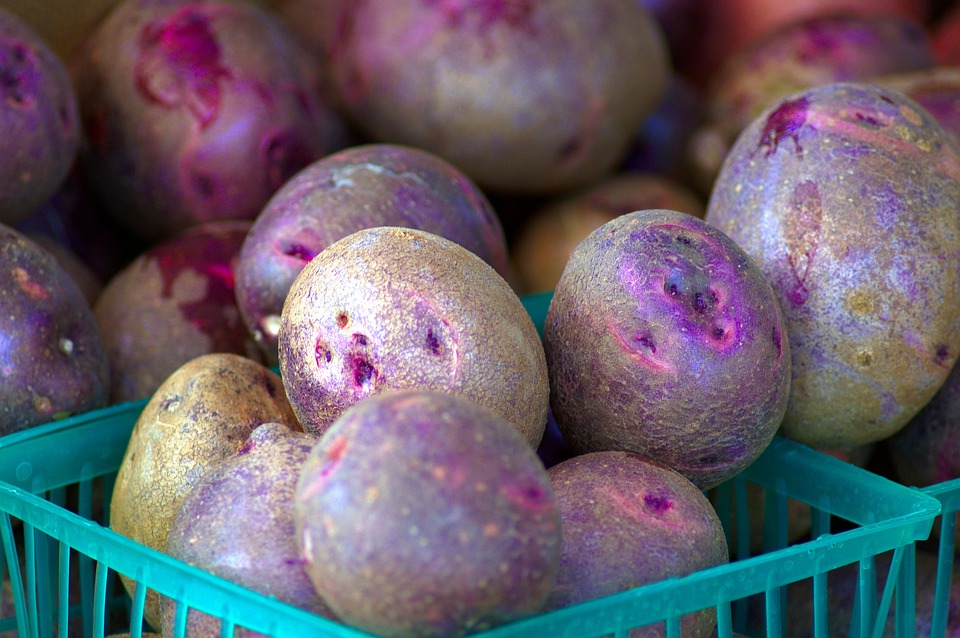 Ilustracija: ljubičasti krompir, foto: pixabay