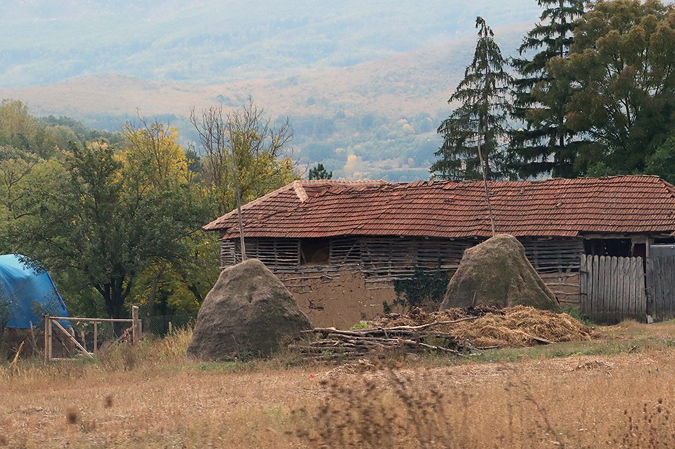 Polja Srbije, poljoprivreda, foto: Marko Miladinović